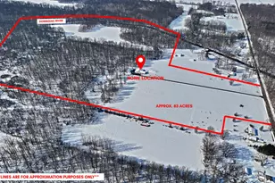 31643 Frost St, Dowagiac, MI 49047 - Photo 62