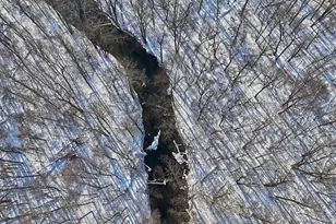 31643 Frost St, Dowagiac, MI 49047 - Photo 10