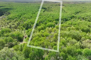 Vl N Partridge Ln, Mancelona, MI 49659 - Photo 1