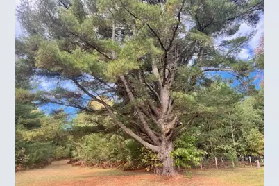 5683 N Tyndall Road, Branch, MI 49402 - Photo 118