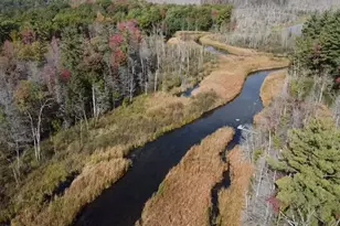 5683 N Tyndall Rd, Branch, MI 49402 - Photo 6