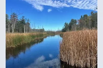 5683 N Tyndall Road, Branch, MI 49402 - Photo 42