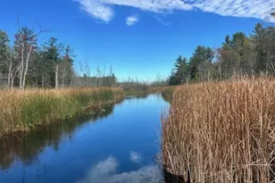 5683 N Tyndall Rd, Branch, MI 49402 - Photo 42