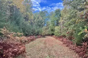 5683 N Tyndall Rd, Branch, MI 49402 - Photo 116