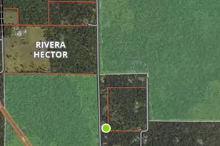 11164 N Merrillville Rd, Irons, MI 49644 - Photo 20