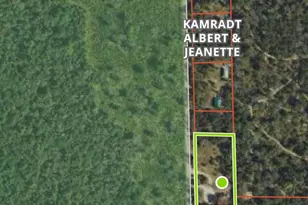 11164 N Merrillville Rd, Irons, MI 49644 - Photo 18