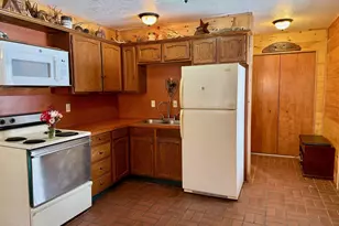 11164 N Merrillville Rd, Irons, MI 49644 - Photo 6