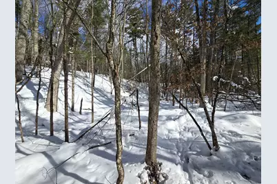 8683 W Peterson Road, Irons, MI 49644 - Photo 6