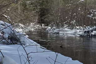 8683 W Peterson Rd, Irons, MI 49644 - Photo 1