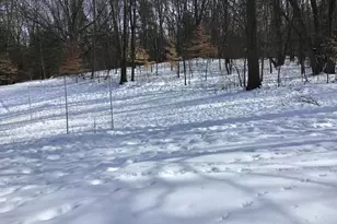 286 108th Ave, Plainwell, MI 49080 - Photo 24