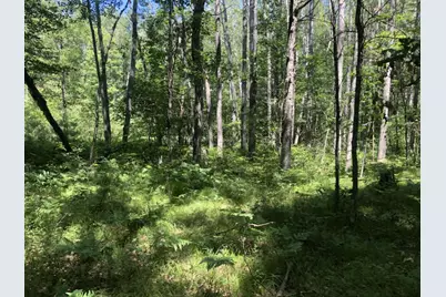 4682 N Evergreen Drive, White Cloud, MI 49349 - Photo 4