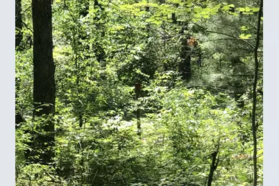 4682 N Evergreen Drive, White Cloud, MI 49349 - Photo 8