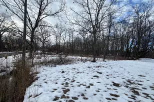 106 W Washington St, New Buffalo, MI 49117 - Photo 1