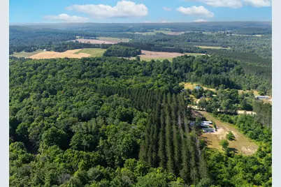 Vl W Phelps Road, Manton, MI 49663 - Photo 4