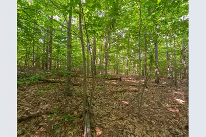 Vl W Phelps Road, Manton, MI 49663 - Photo 12