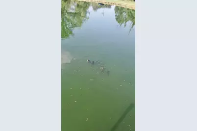 440 E Francis Street, Nashville, MI 49073 - Photo 42