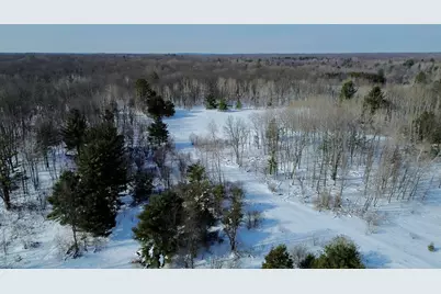 N N Felch Ave Avenue, White Cloud, MI 49349 - Photo 1