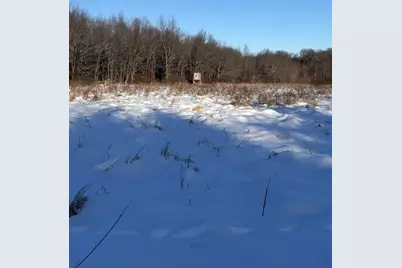 6711 S Tripp Road, Osseo, MI 49266 - Photo 6