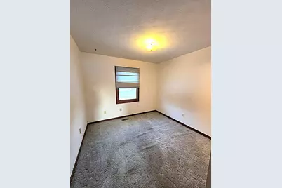 710 Madison Street, Bellevue, MI 49021 - Photo 16