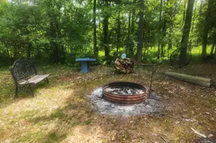 6346 E Peavey St, Walkerville, MI 49459 - Photo 32