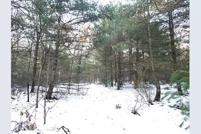 3696 S Locust Avenue, Newaygo, MI 49337 - Photo 16