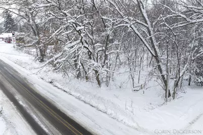 0 N Whites Bridge Road, Belding, MI 48809 - Photo 2