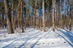 22160 Country Trce, Edwardsburg, MI 49112 - Photo 8