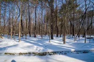 22160 Country Trce, Edwardsburg, MI 49112 - Photo 4