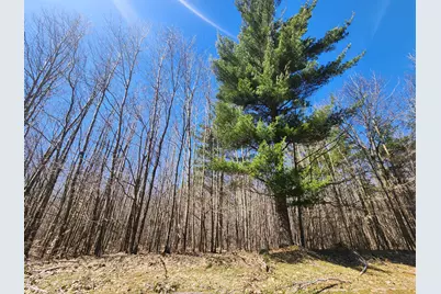 W Starlight Ridge Circle #62, Onekama, MI 49675 - Photo 6