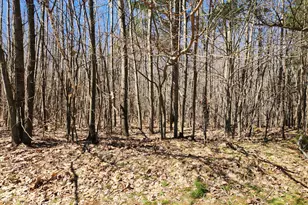 W Starlight Ridge Circle, Onekama, MI 49675 - Photo 1