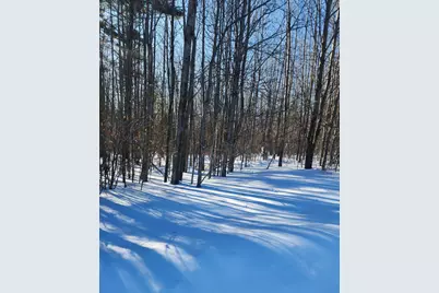 W Starlight Ridge Circle #62, Onekama, MI 49675 - Photo 1