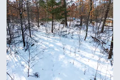 2578 E 36th Street, Idlewild, MI 49642 - Photo 14