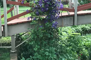 21154 Hale St, Clinton Twp, MI 48036 - Photo 66