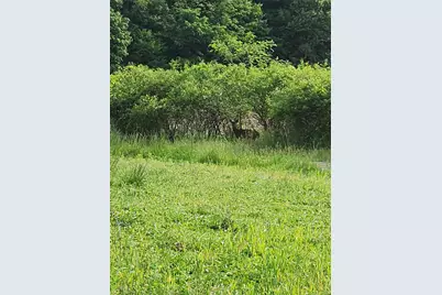 V/L 48th Avenue, Lawrence, MI 49064 - Photo 16