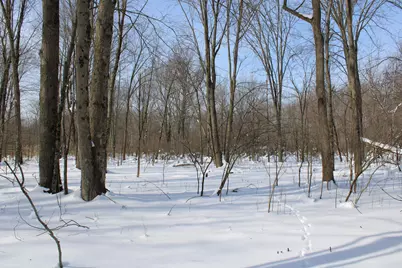 6095 E M 20, Hesperia, MI 49421 - Photo 42