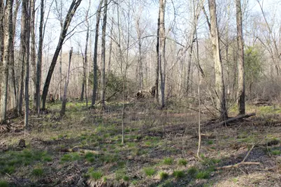 6095 E M 20, Hesperia, MI 49421 - Photo 50