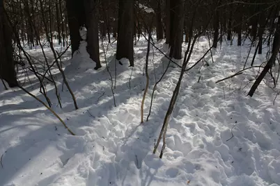 6095 E M 20, Hesperia, MI 49421 - Photo 38