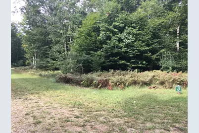 Wildwood Trail, Manistee, MI 49660 - Photo 12