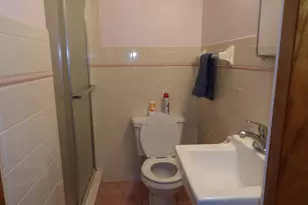 415 Remus Dr, Buchanan, MI 49107 - Photo 16