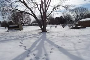 415 Remus Dr, Buchanan, MI 49107 - Photo 36