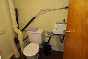 415 Remus Dr, Buchanan, MI 49107 - Photo 46