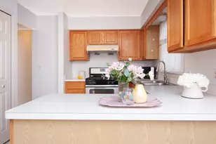 3158 Shamrock Ct, Ann Arbor, MI 48105 - Photo 34