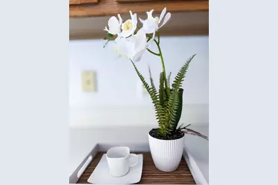 3158 Shamrock Court, Ann Arbor, MI 48105 - Photo 38