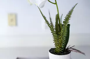 3158 Shamrock Ct, Ann Arbor, MI 48105 - Photo 38