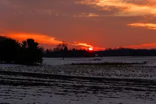 4959 Miller Rd, Ann Arbor, MI 48103 - Photo 120