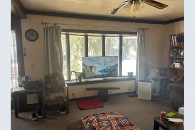 234 N Lincoln Street, Bronson, MI 49028 - Photo 10