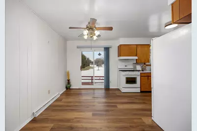 425 S Division Street, Marion City, MI 48811 - Photo 4