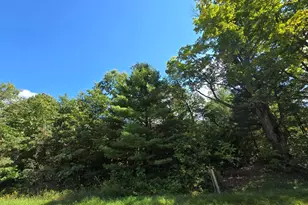 00 N Hawkins Rd, Luther, MI 49656 - Photo 1