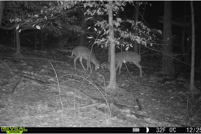 5860 S 36th Street, Climax, MI 49034 - Photo 60