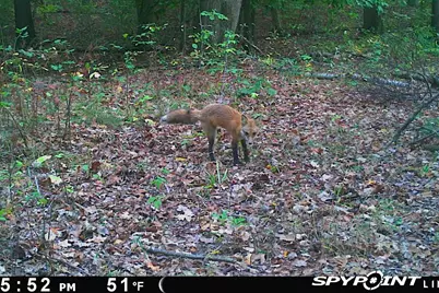 5860 S 36th Street, Climax, MI 49034 - Photo 56